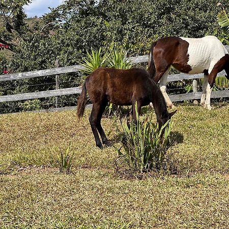 Fazenda Do Engenho Ξενοδοχείο Santa Rita do Rio Abaixo Εξωτερικό φωτογραφία