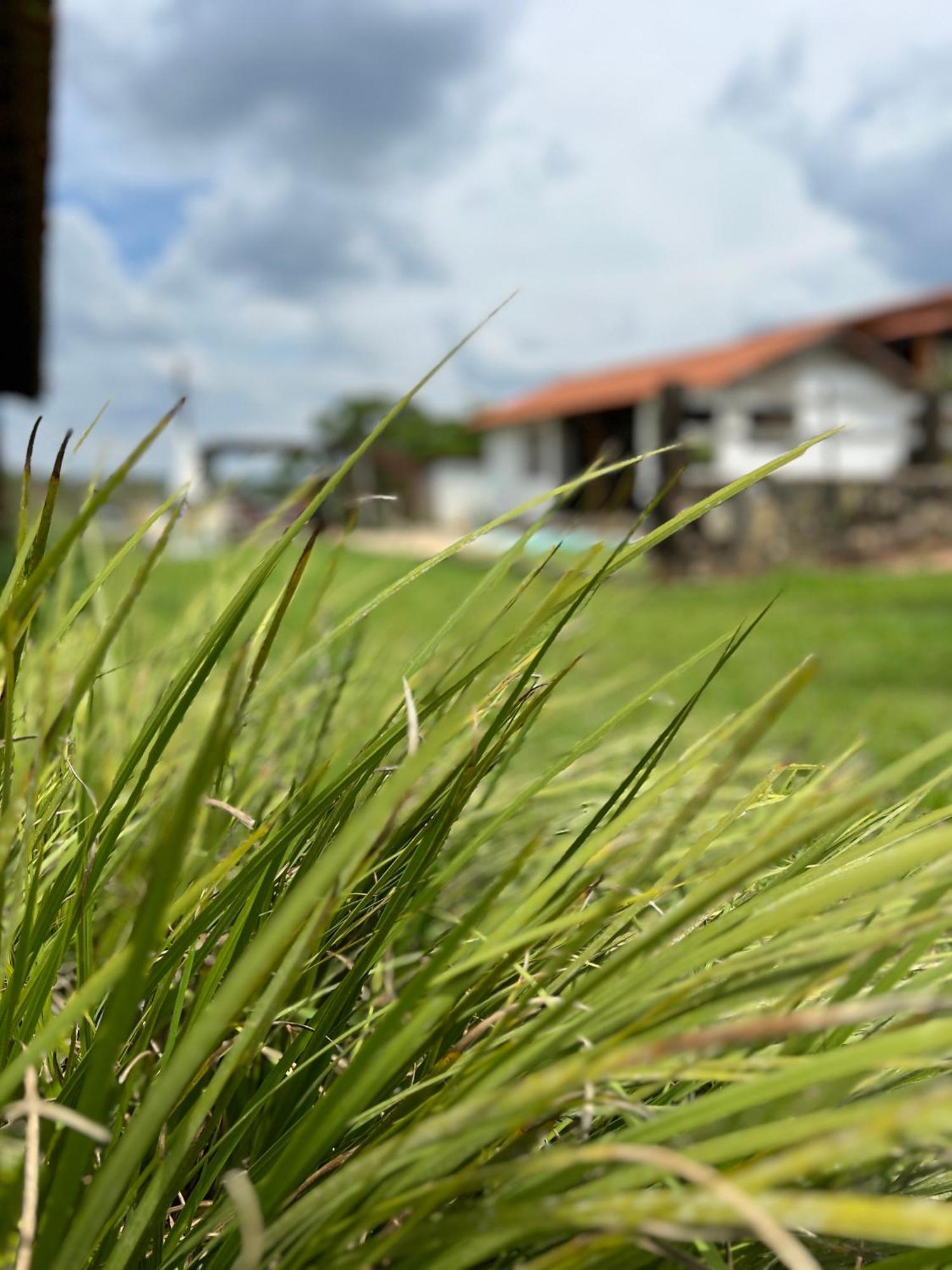 Fazenda Do Engenho Ξενοδοχείο Santa Rita do Rio Abaixo Εξωτερικό φωτογραφία