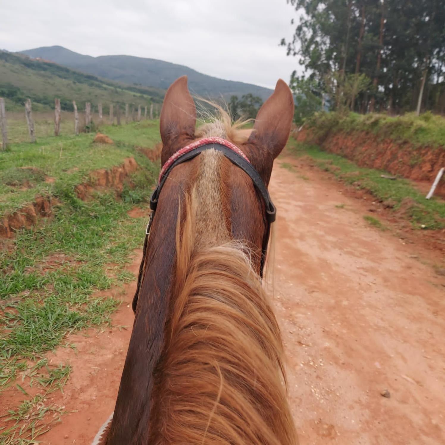 Fazenda Do Engenho Ξενοδοχείο Santa Rita do Rio Abaixo Εξωτερικό φωτογραφία