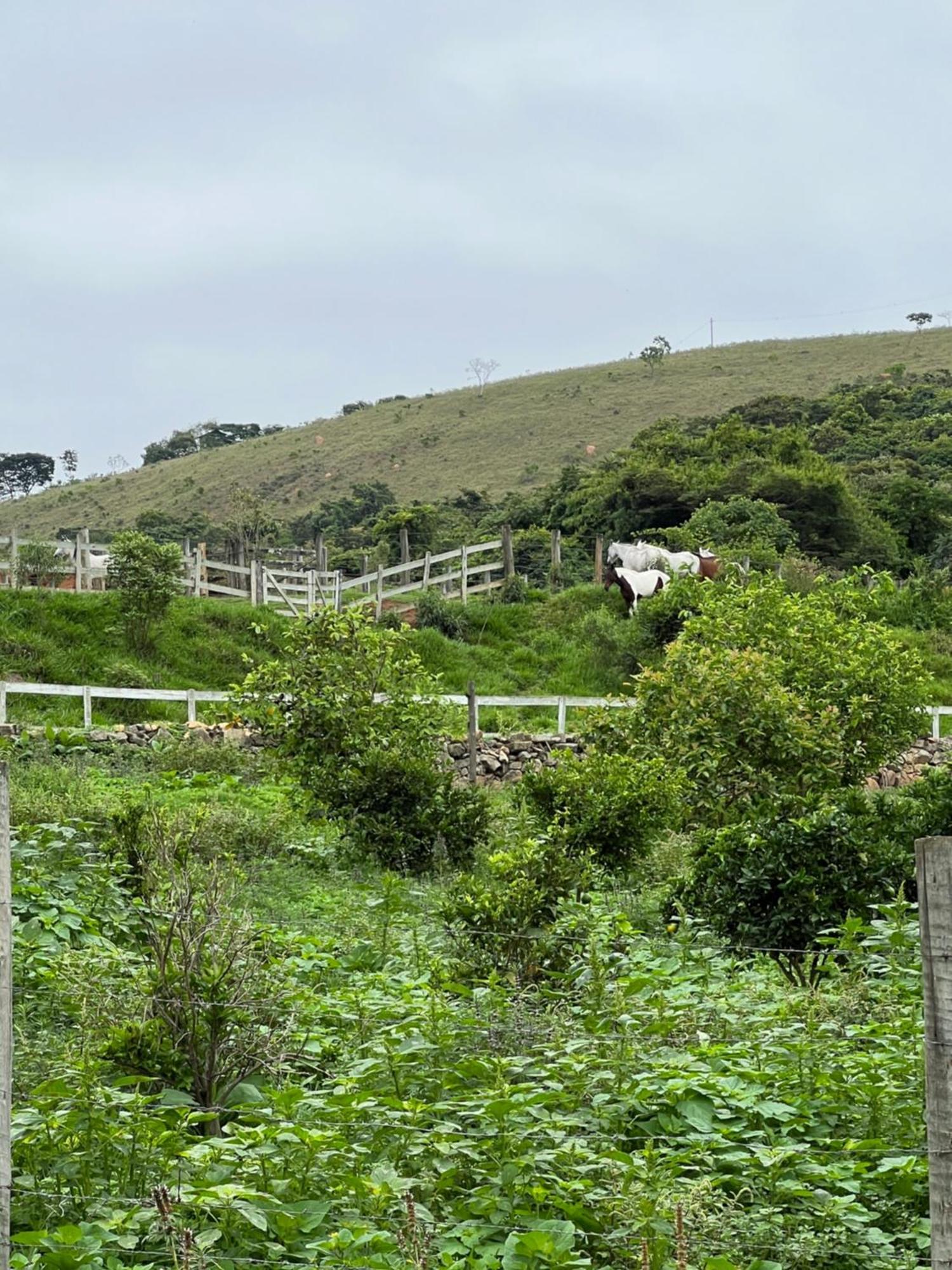 Fazenda Do Engenho Ξενοδοχείο Santa Rita do Rio Abaixo Εξωτερικό φωτογραφία