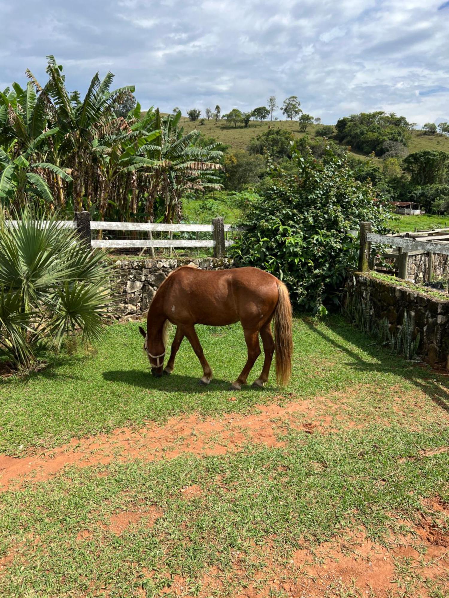 Fazenda Do Engenho Ξενοδοχείο Santa Rita do Rio Abaixo Εξωτερικό φωτογραφία