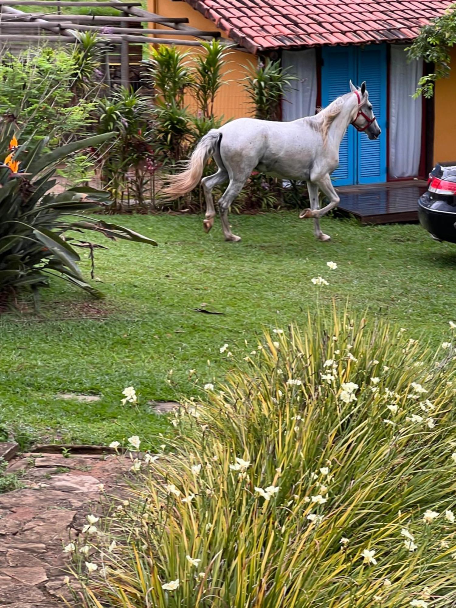 Fazenda Do Engenho Ξενοδοχείο Santa Rita do Rio Abaixo Εξωτερικό φωτογραφία