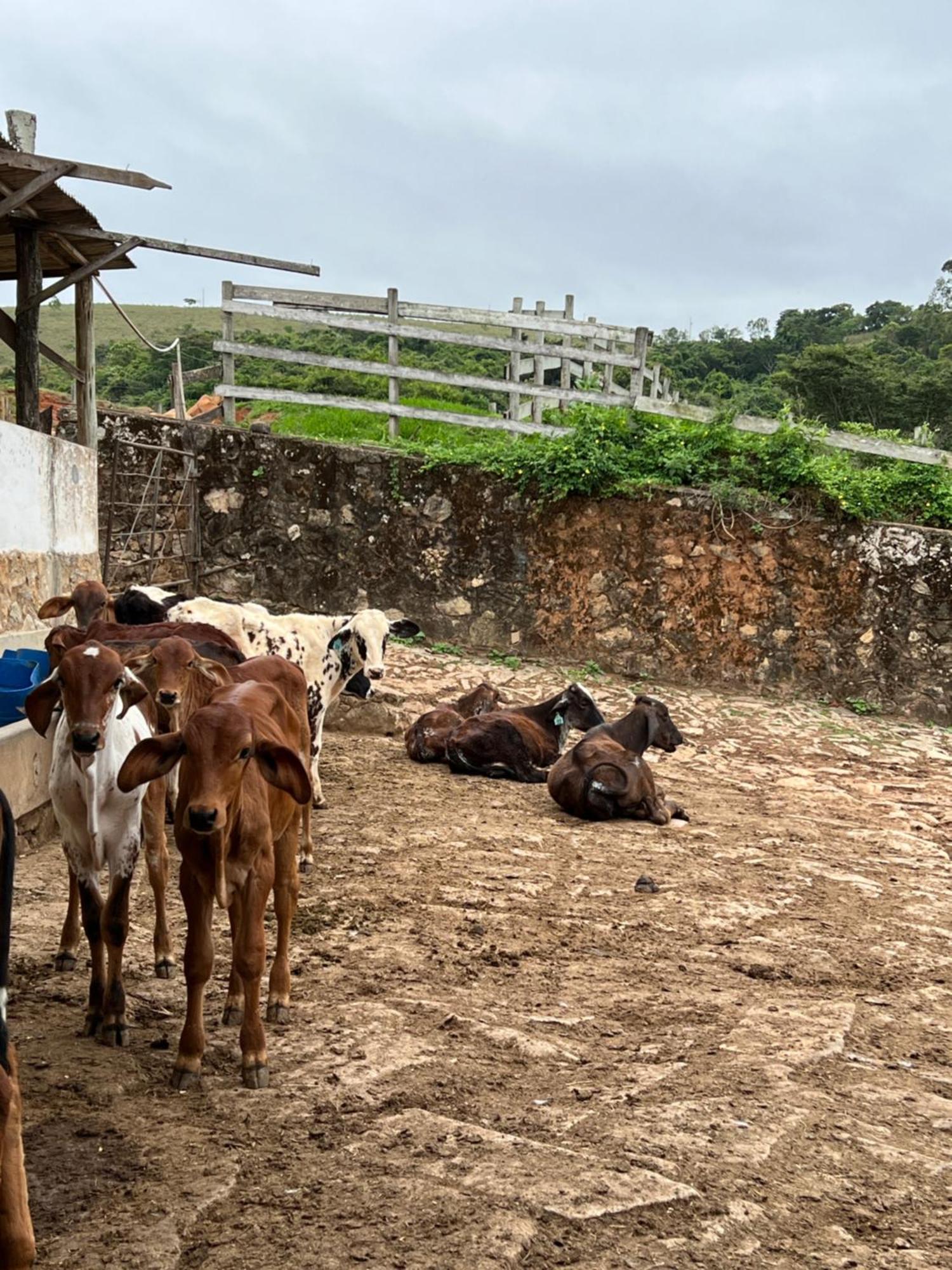 Fazenda Do Engenho Ξενοδοχείο Santa Rita do Rio Abaixo Εξωτερικό φωτογραφία
