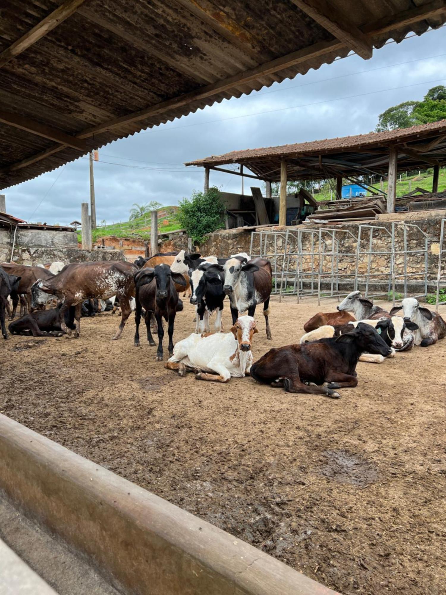 Fazenda Do Engenho Ξενοδοχείο Santa Rita do Rio Abaixo Εξωτερικό φωτογραφία