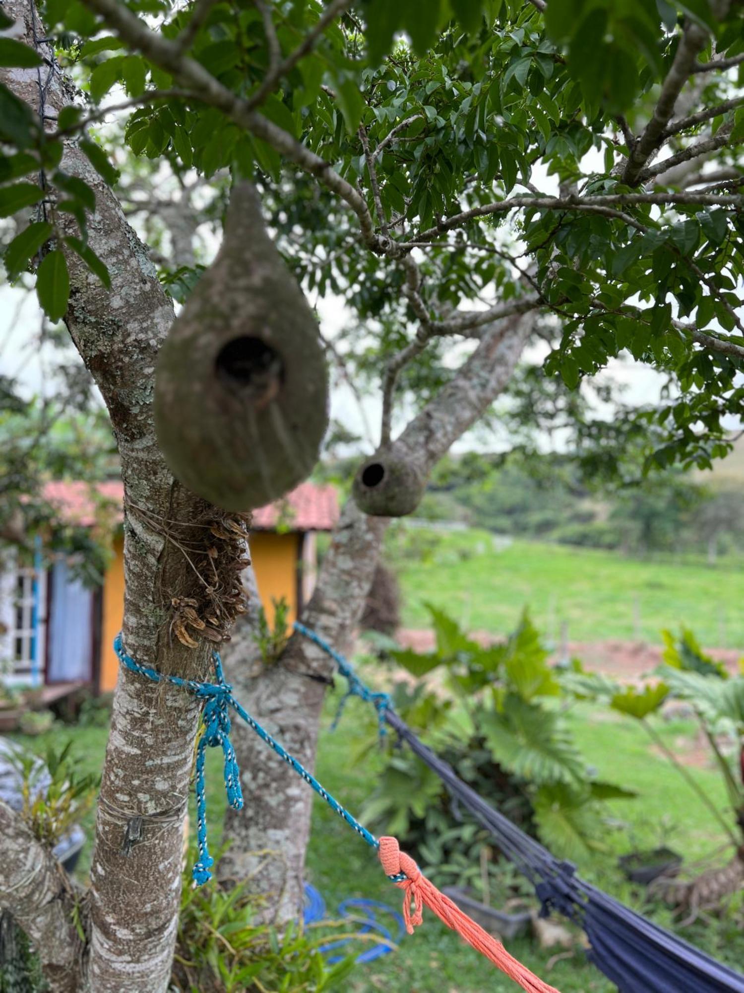 Fazenda Do Engenho Ξενοδοχείο Santa Rita do Rio Abaixo Εξωτερικό φωτογραφία