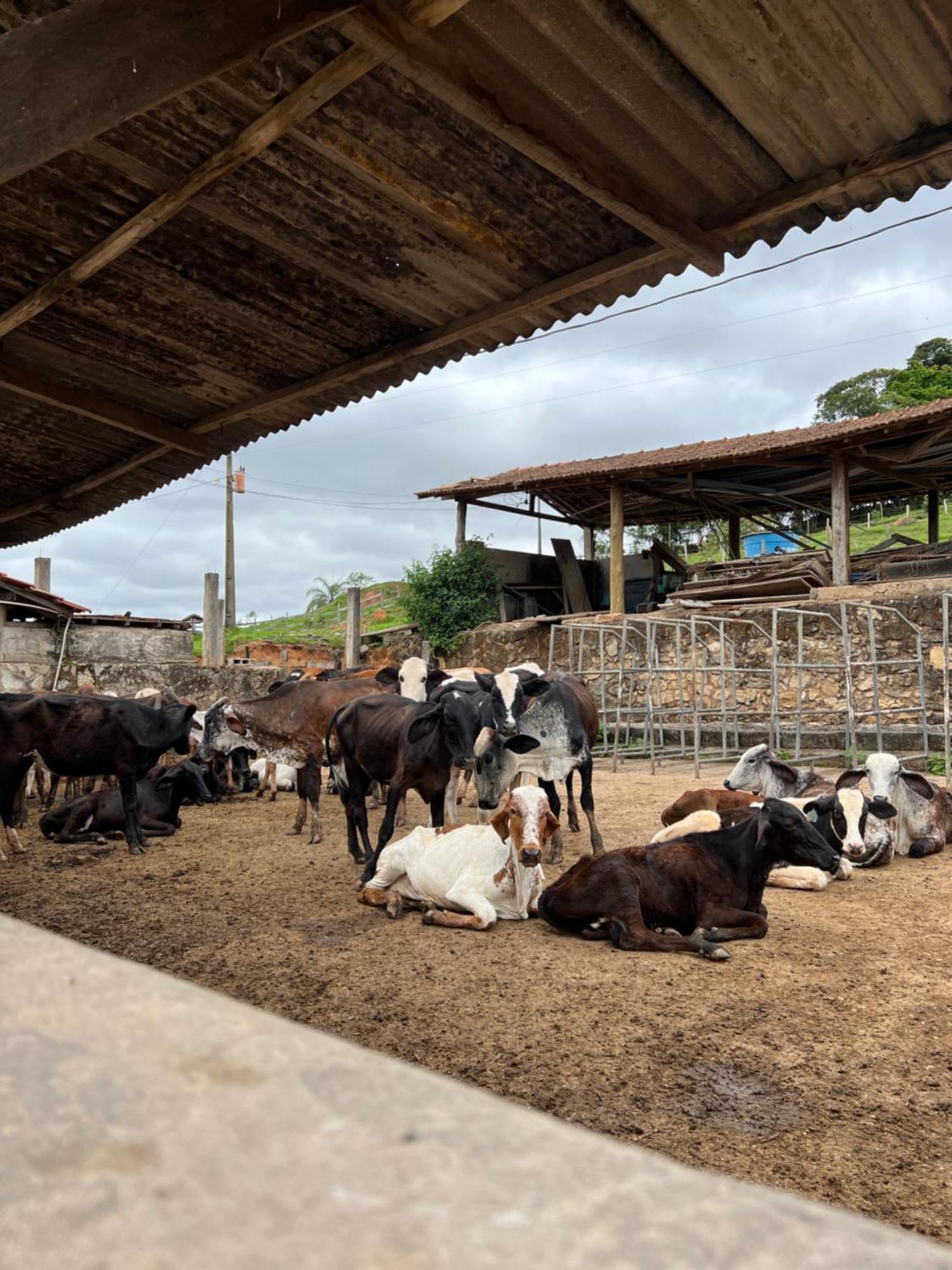 Fazenda Do Engenho Ξενοδοχείο Santa Rita do Rio Abaixo Εξωτερικό φωτογραφία