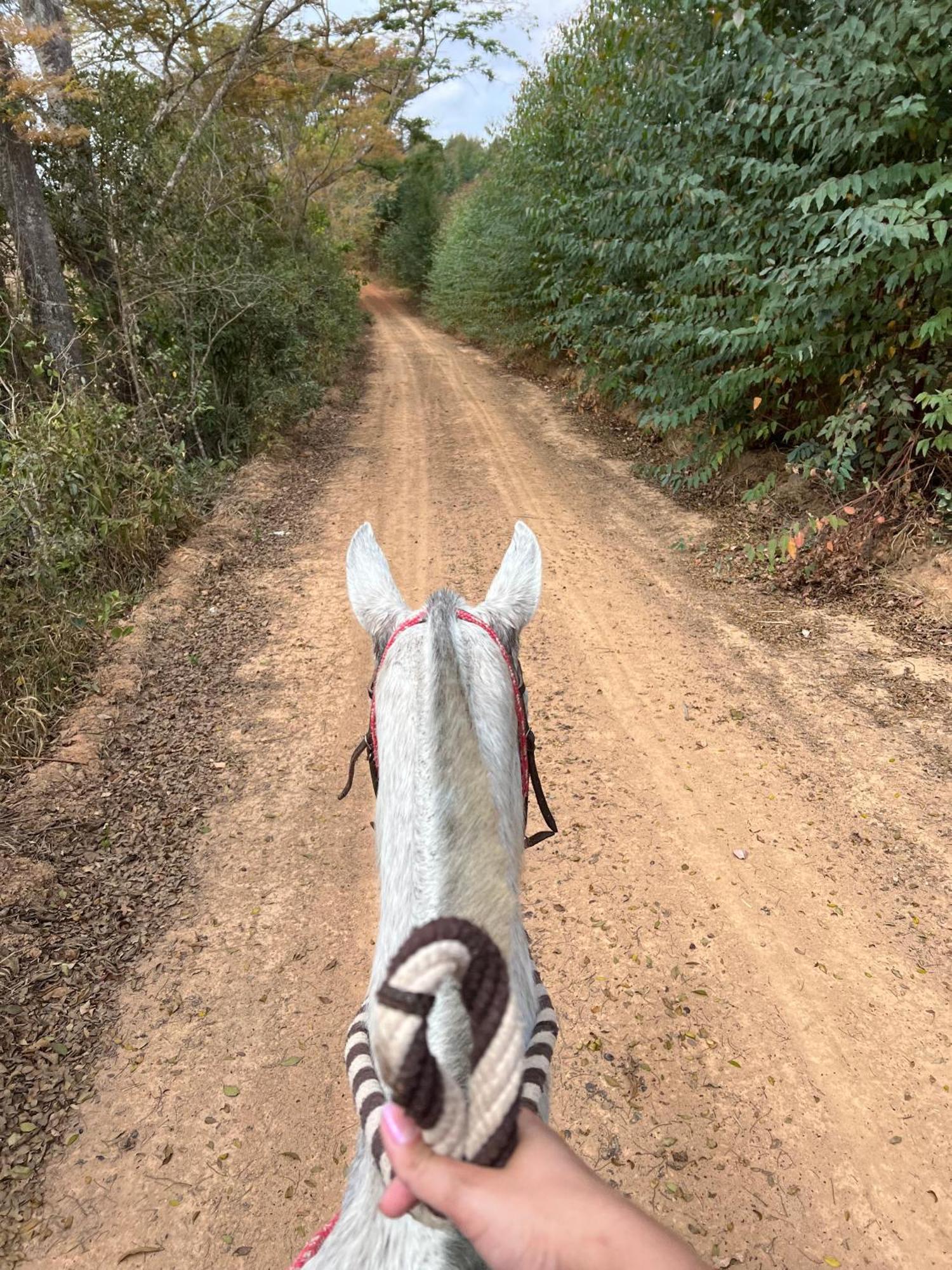 Fazenda Do Engenho Ξενοδοχείο Santa Rita do Rio Abaixo Εξωτερικό φωτογραφία