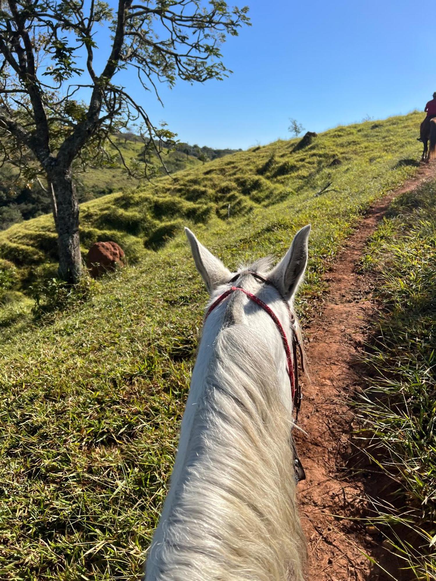 Fazenda Do Engenho Ξενοδοχείο Santa Rita do Rio Abaixo Εξωτερικό φωτογραφία